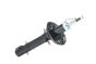 Shock Absorber Front For VW Seat 6N0413031M B18687 Borsehung