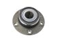 Wheel Hub Rear 8V0598611A B19119 VW Audi Seat Skoda Borsehung
