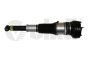 Shock Absorber Rear 4H0616001M 4H0616002M 56160000601 Audi A8 Vika
