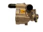 Power Steering Pump Master II Trafic Laguna 2.0 PV-D021 OE 491102294R