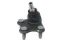 Ball Joint Right 6R0407366 B11339 VW Audi Seat Skoda Borsehung