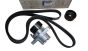 Drive Belt Tensioner Original 7701479150 Renault Dacia