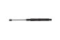 Bonnet Strut For Mercedes-Benz A2059800464 B12484 Borsehung