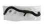 Coolant pipe Original Citroen Peugeot C8 807 1307ZQ