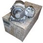 Starter Original 233004003R Renault