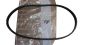 Drive Belt Original 9805463680 Citroen Peugeot 6PK 1073