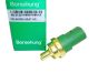 Temperature Sensor 059919501A B13132 VW Audi Seat Skoda Borsehung