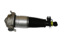 Shock Absorber Rear Left 4L0616019 46160000701 Audi Q7 Vika