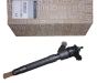 Fuel Injector Original 166007246R Renault