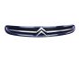 Radiator Grille 7804J7 9632099177 Citroen Xsara Picasso 99-03 1013