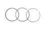 Piston Rings For VW Audi 06E198151B B19051 Borsehung