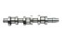 Camshaft 045109101C B17862 VW Audi Seat Skoda Borsehung