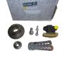 Oil Pump Drive Chain Original 150A09501R Renault