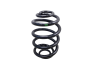Coil Spring Rear 8200844168 Renault Clio 2