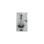 Door Hinge Stopper Right/Left Rear Original Peugeot 307 9181K0