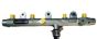 Injection Rail New Original Citroen Peugeot 2.0 HDi 8v 1570K1 96570176