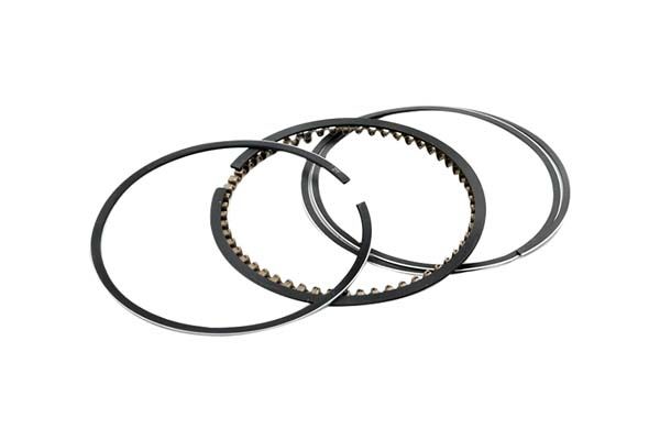 Piston Rings For Mercedes-Benz A2760300224 B10367 Borsehung main product photo