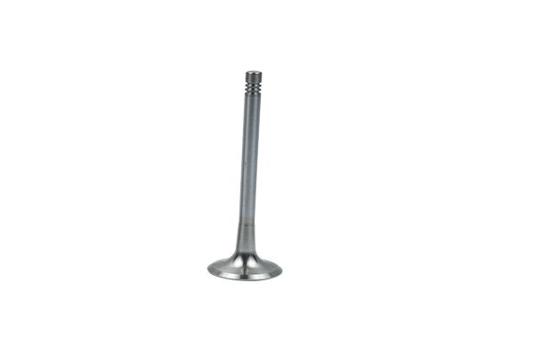 Exhaust Valve For VW Audi Seat Skoda 06D109611L B19008 Borsehung main product photo