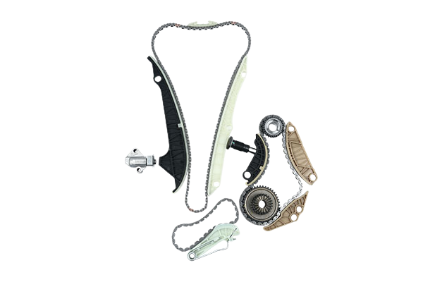 Timing Chain Kit For VW Audi Skoda 06H198229A B12519 Borsehung main product photo
