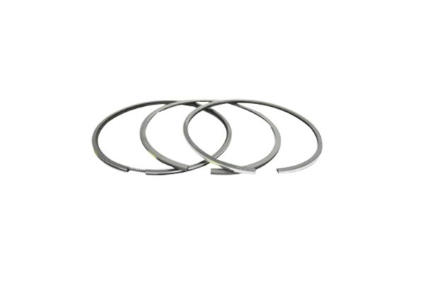 Piston Rings For Mercedes-Benz A2710300324 B10366 Borsehung main product photo