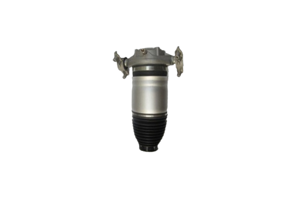 Shock Absorber Rear Right For VW Touareg 7P6616020G 46160002201 Vika main product photo