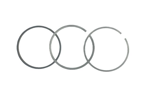Piston Rings For VW Audi Seat Skoda 06H198151C B19046 Borsehung main product photo